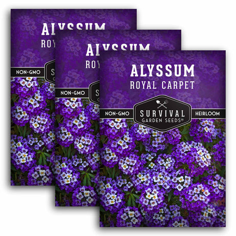 3 packets of Royal Carpet Alyssum seeds