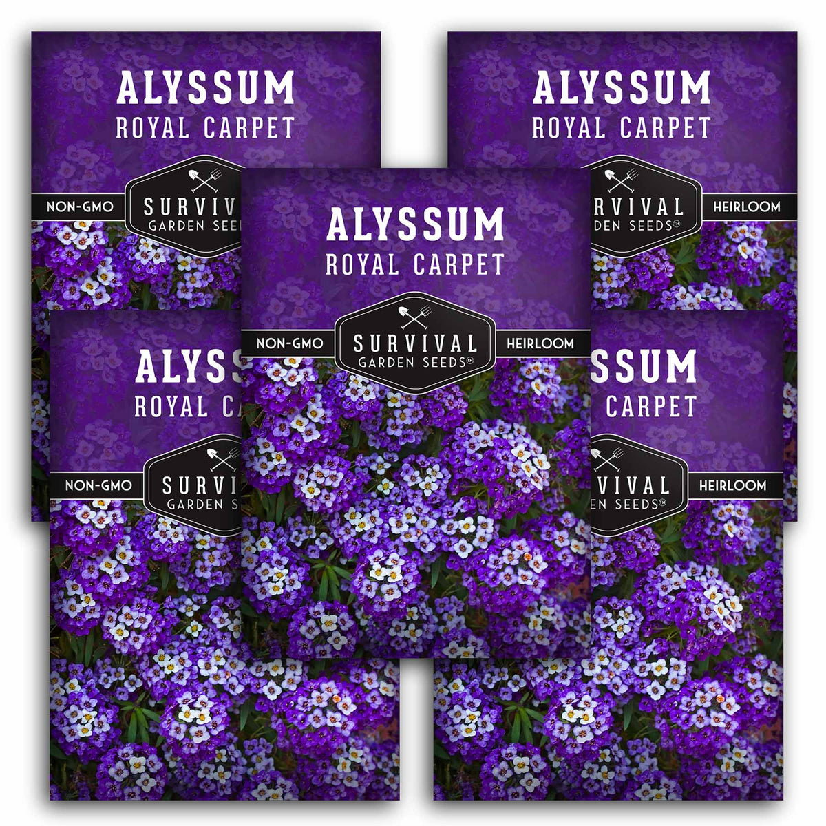 5 packets of Royal Carpet Alyssum seeds