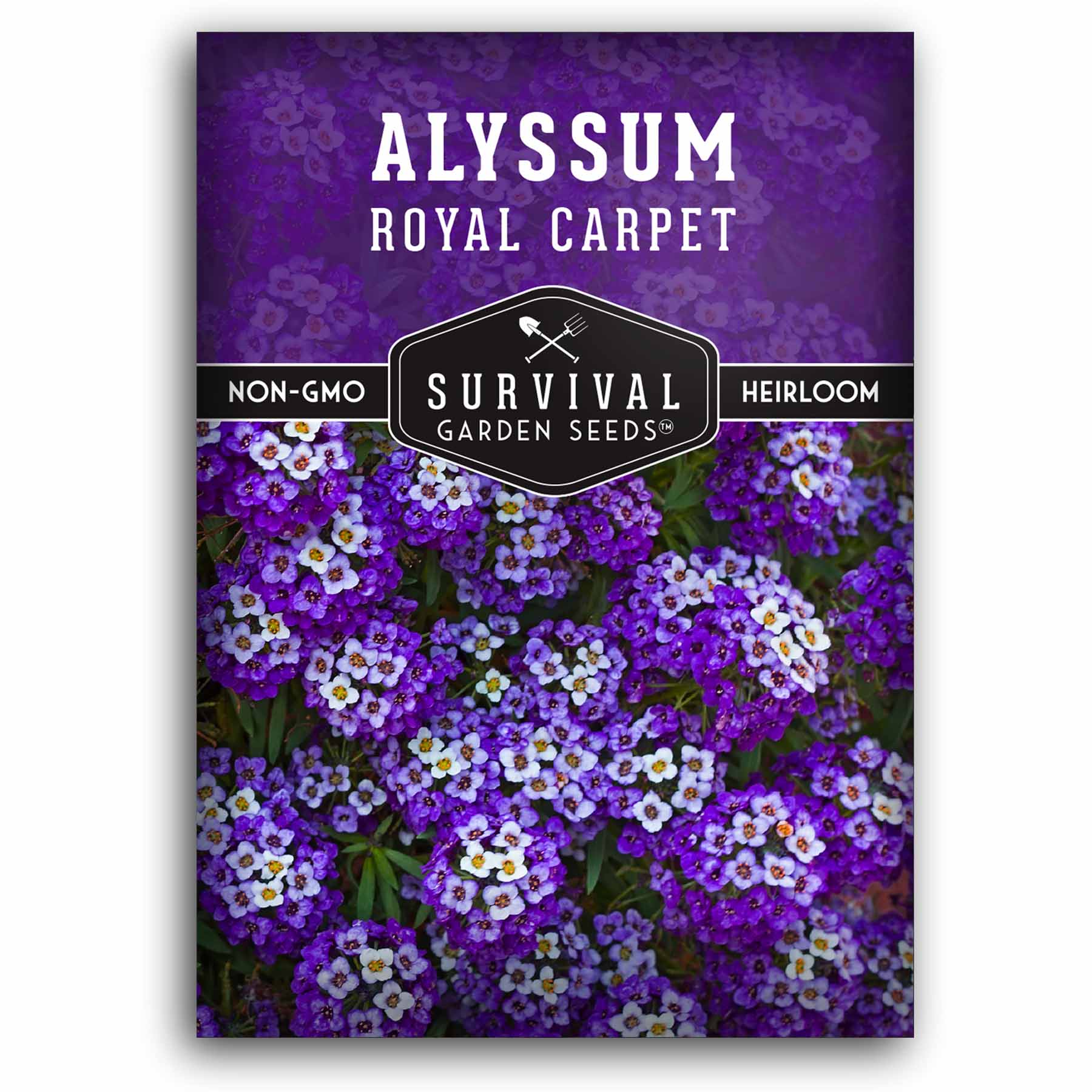 Royal Carpet Alyssum Flower Seeds