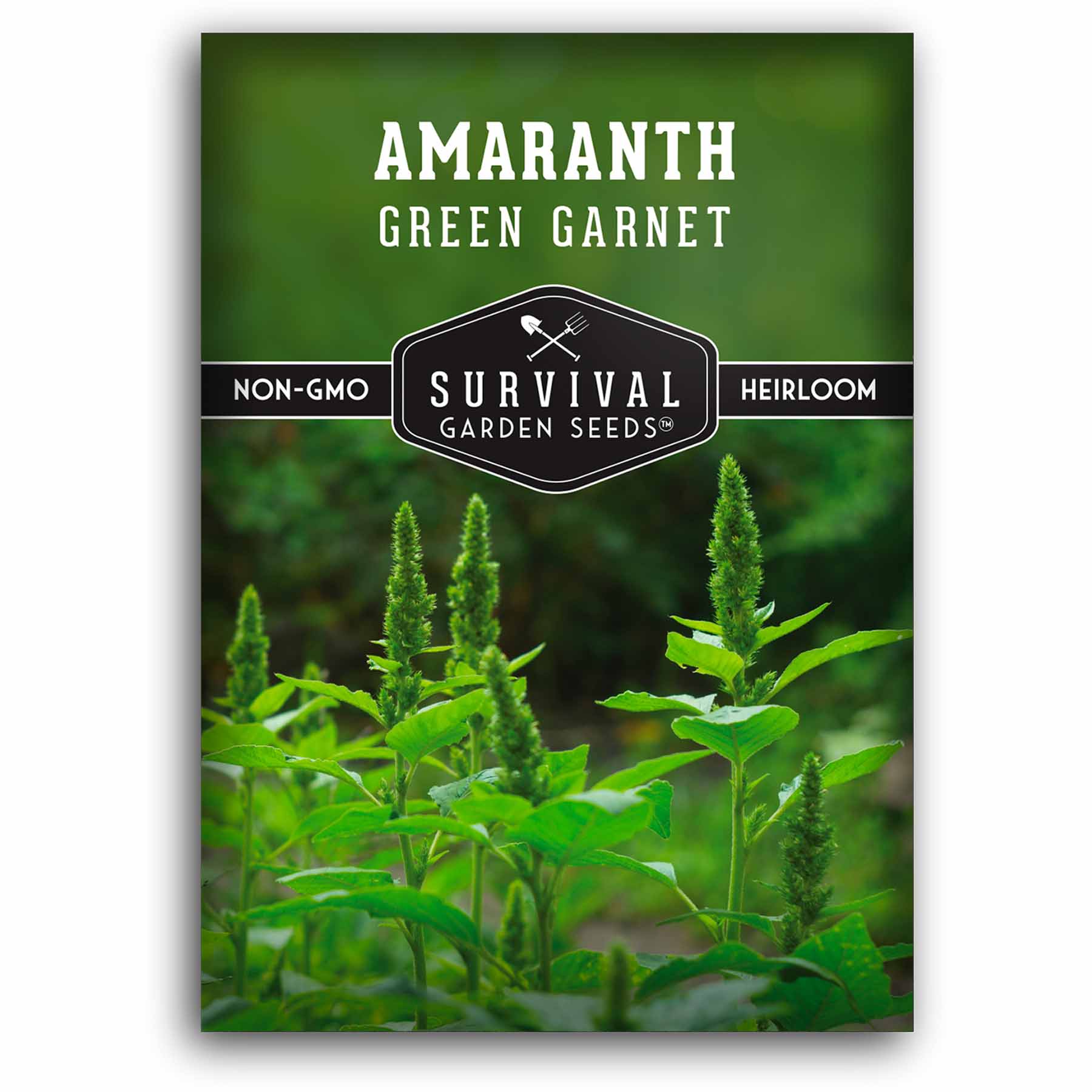 Green Garnet Amaranth Grain Seeds