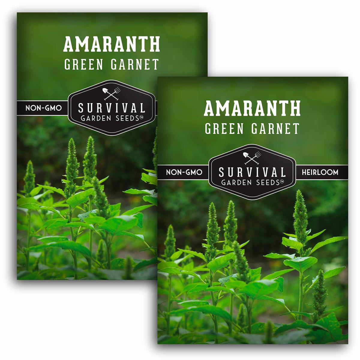 2 Packets of Green Garnet Amaranth seeds