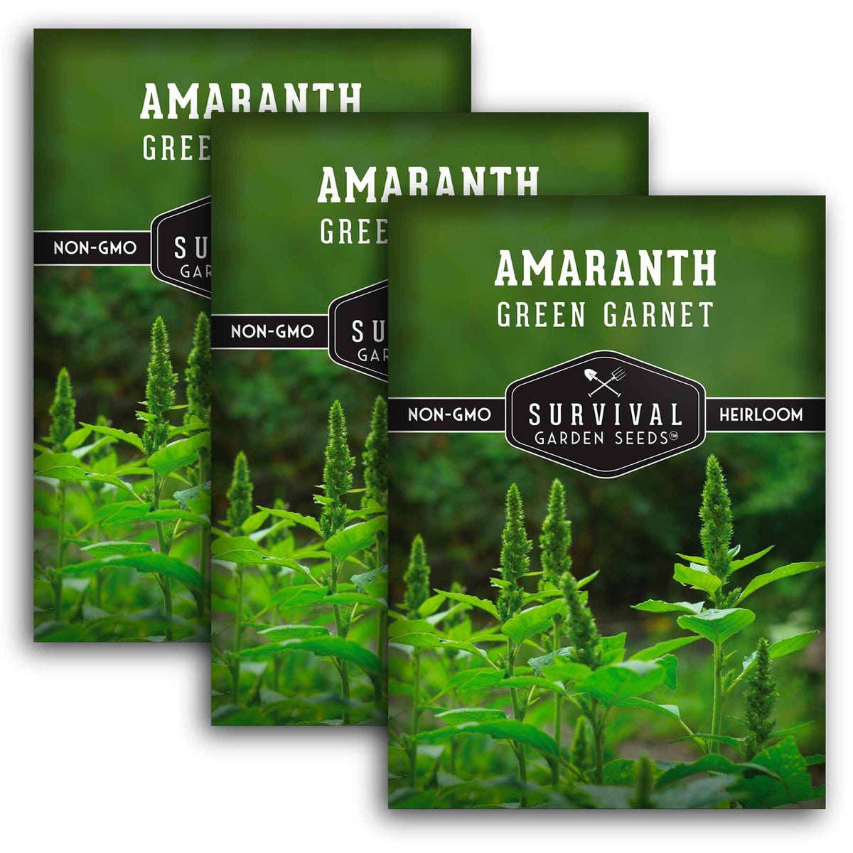 3 Packets of Green Garnet Amaranth seeds