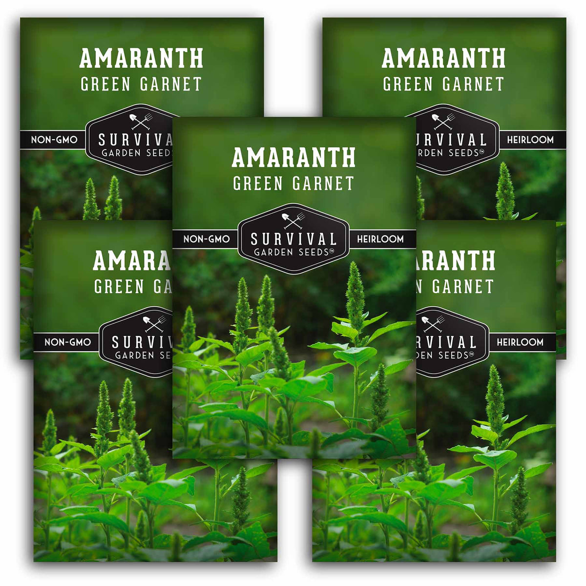 5 Packets of Green Garnet Amaranth seeds