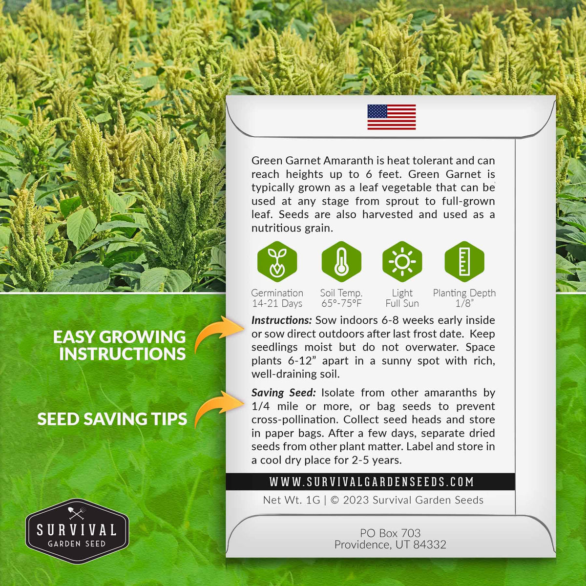 Green Garnet Amaranth Growing Instructions