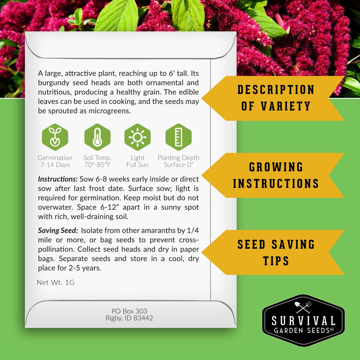 Red Amaranth Seed growing instructions and seed saving instructions are on the back of the packet