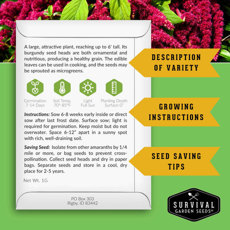 Red Amaranth Seed growing instructions and seed saving instructions are on the back of the packet
