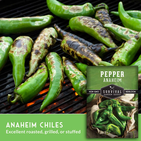 anaheim chiles - excellent roasted, grilled or stuffed