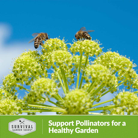 Support pollinators for a healthy garden