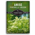 Anise Seed for Planting