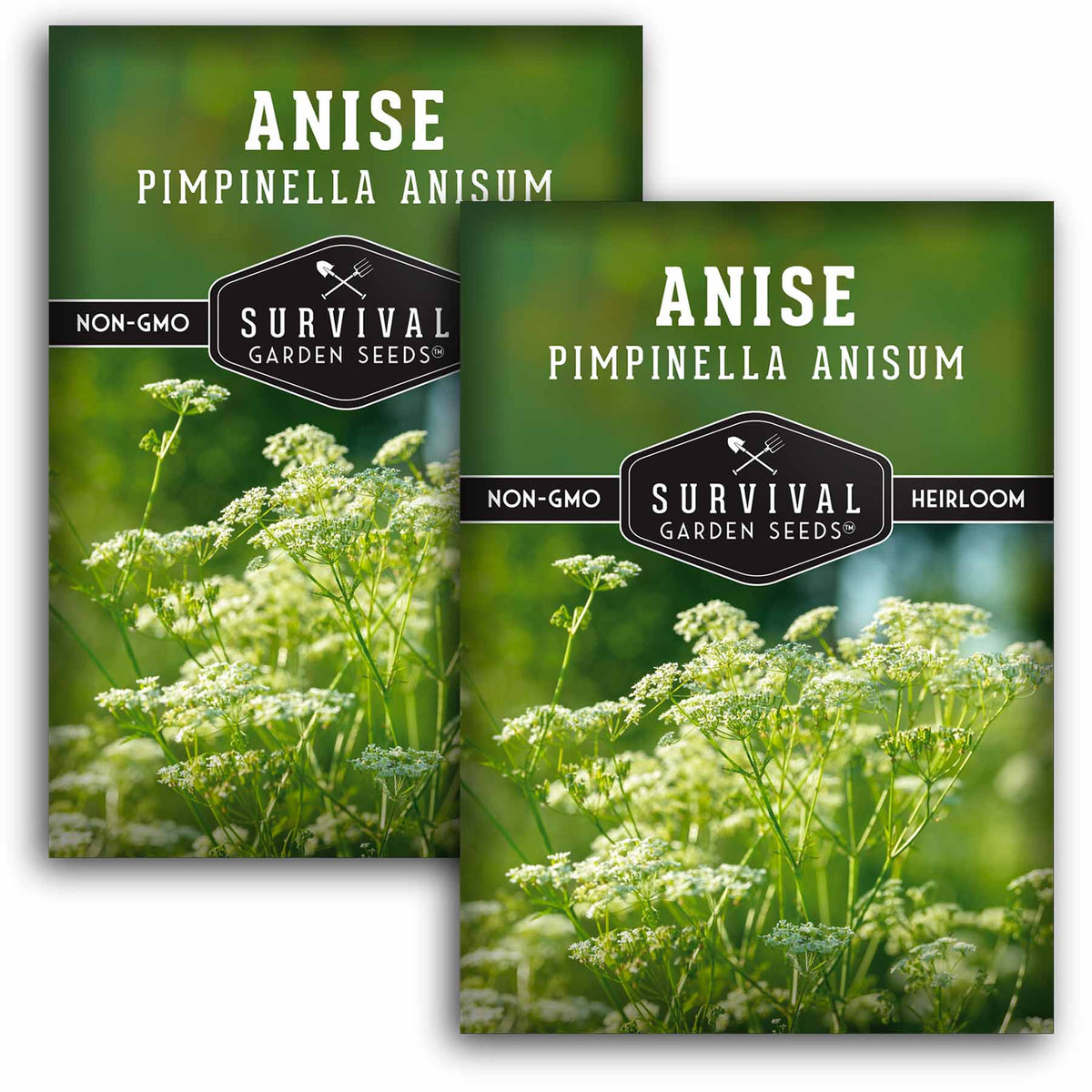 2 packets of Anise seeds