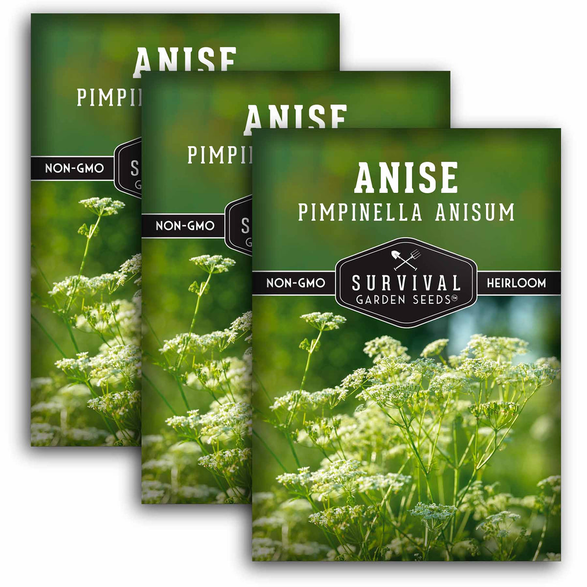 3 packets of Anise seeds