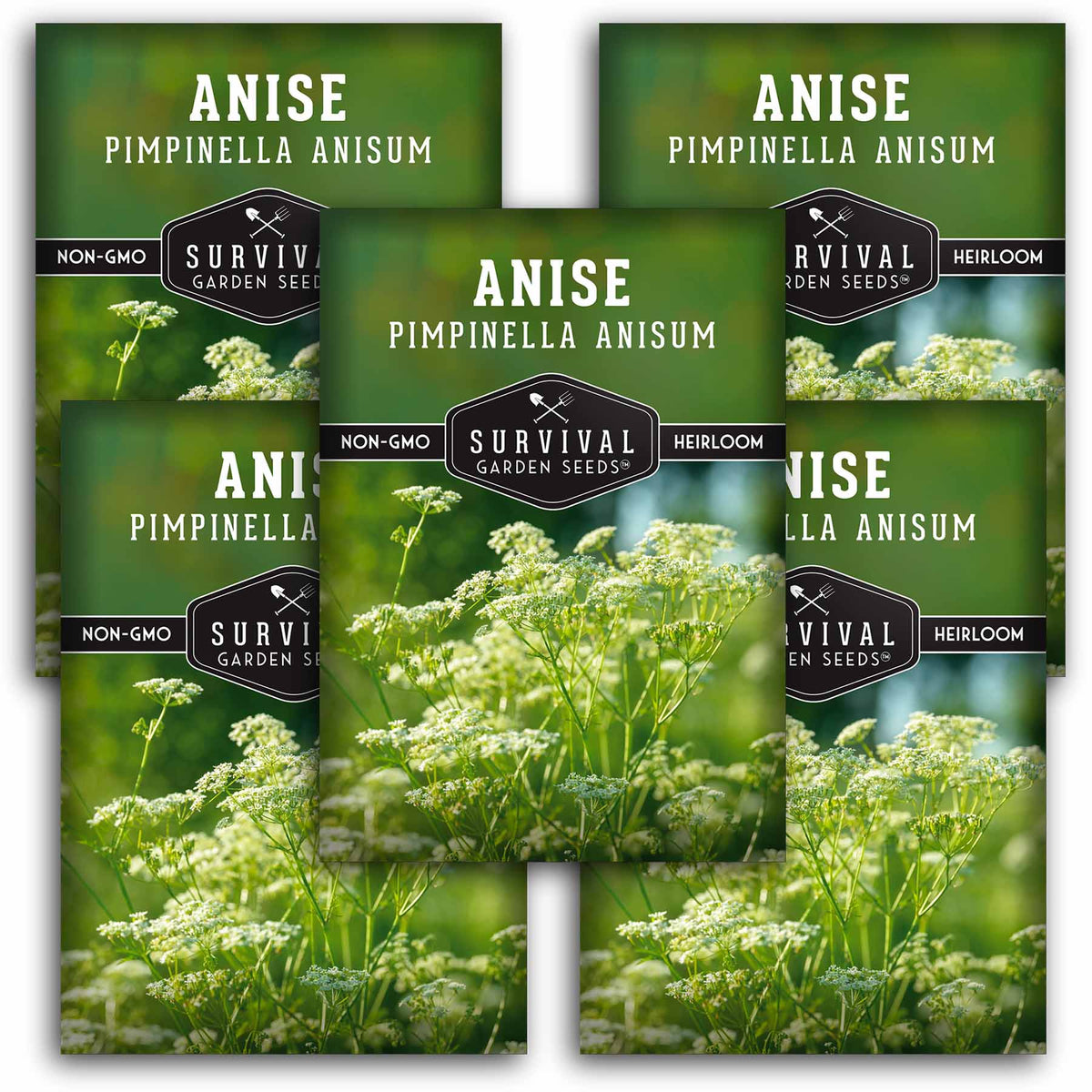 5 packets of Anise seeds