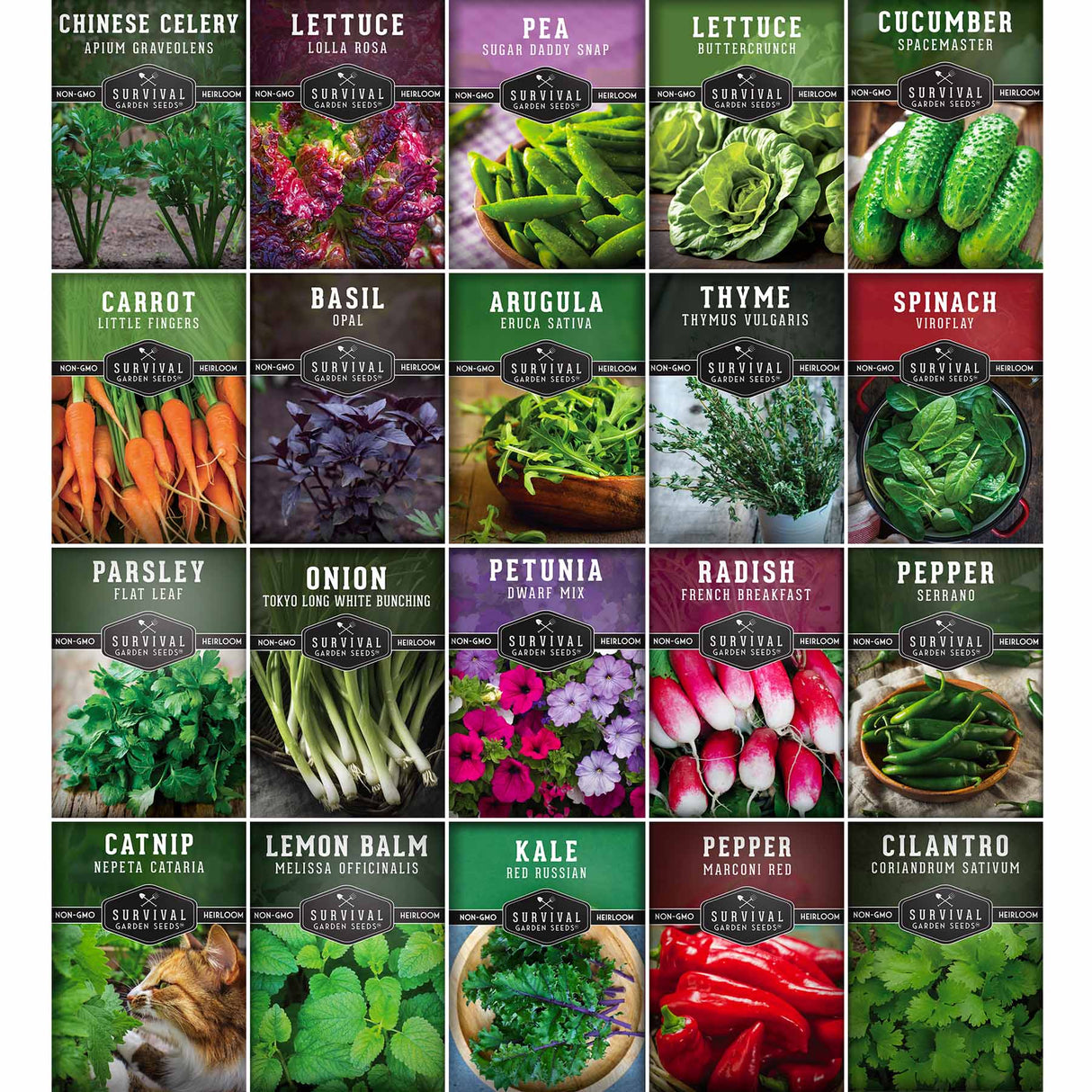 20 packets of heirloom vegetable, herb & flower seeds