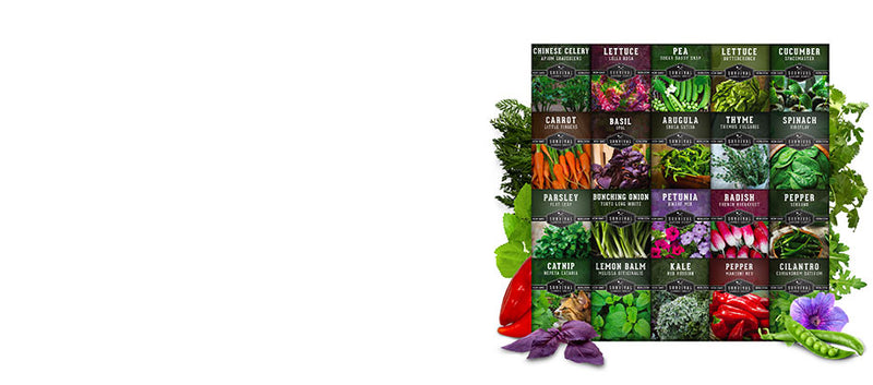 Apartment Garden Seed Collection - 20 container-friendly herb and vegetable seeds