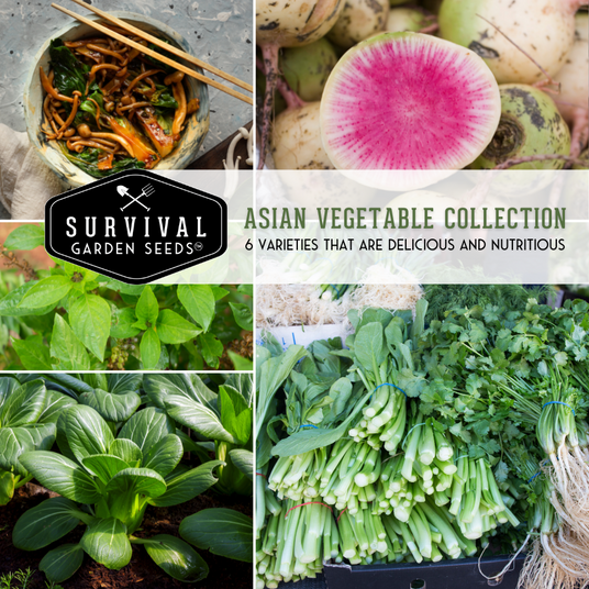 Asian Vegetable Seed Collection - 6 varieties that are delicious and nutritious