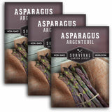 3 packets of Argenteuil Asparagus seeds