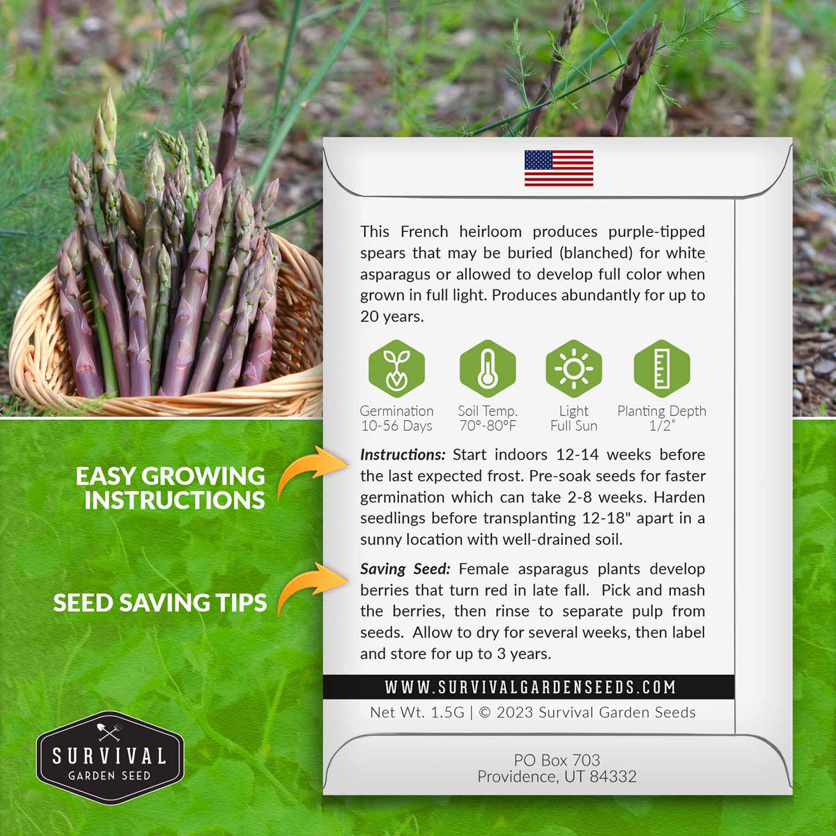 Argenteuil Asparagus Growing Instructions