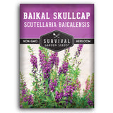 1 packet of Baikal Chinese Skullcap seeds