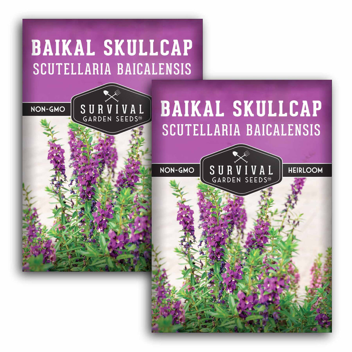 2 packets of Baikal Skullcap Seeds