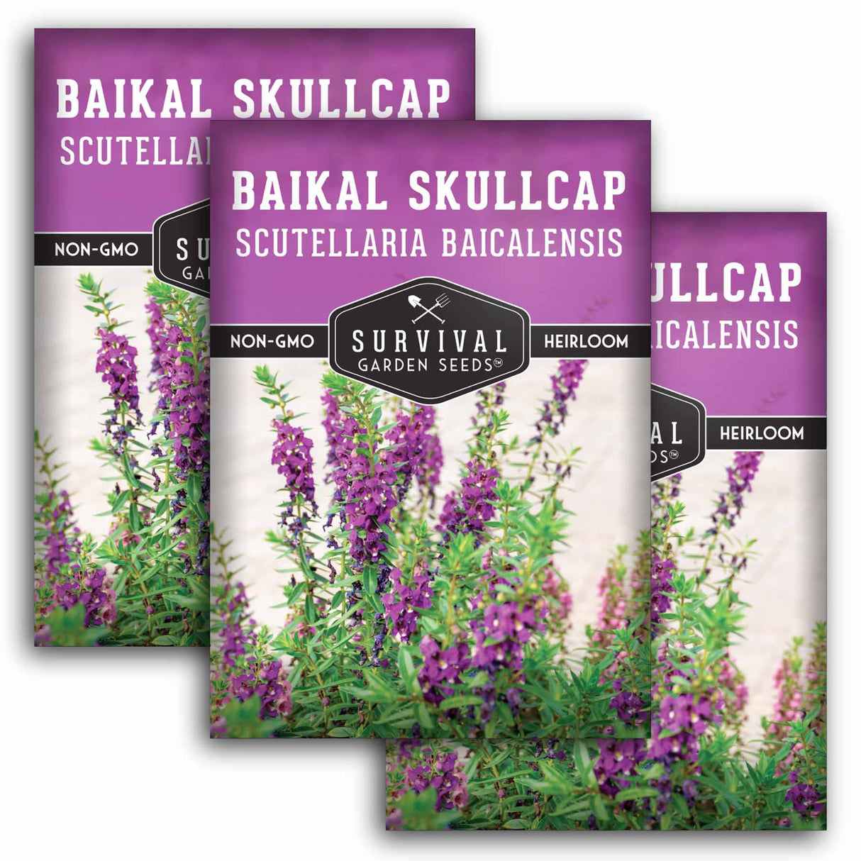 3 packets of Baikal Skullcap Seeds