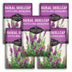 5 packets of Baikal Skullcap Seeds