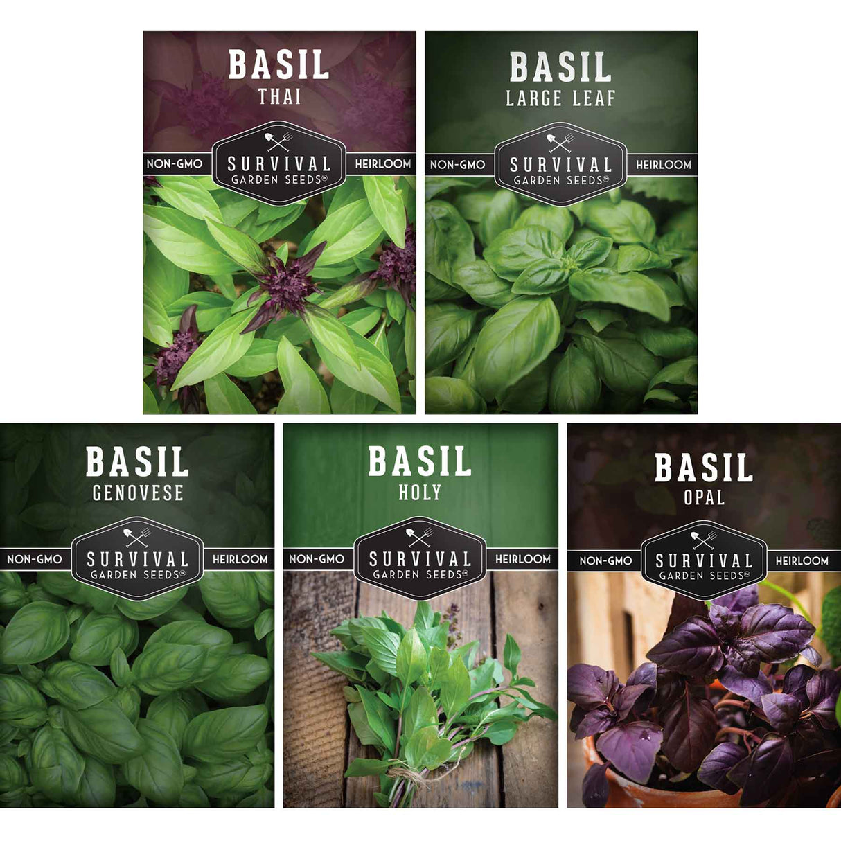 Basil seed collection