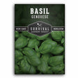 1 packet of Genovese Basil seeds