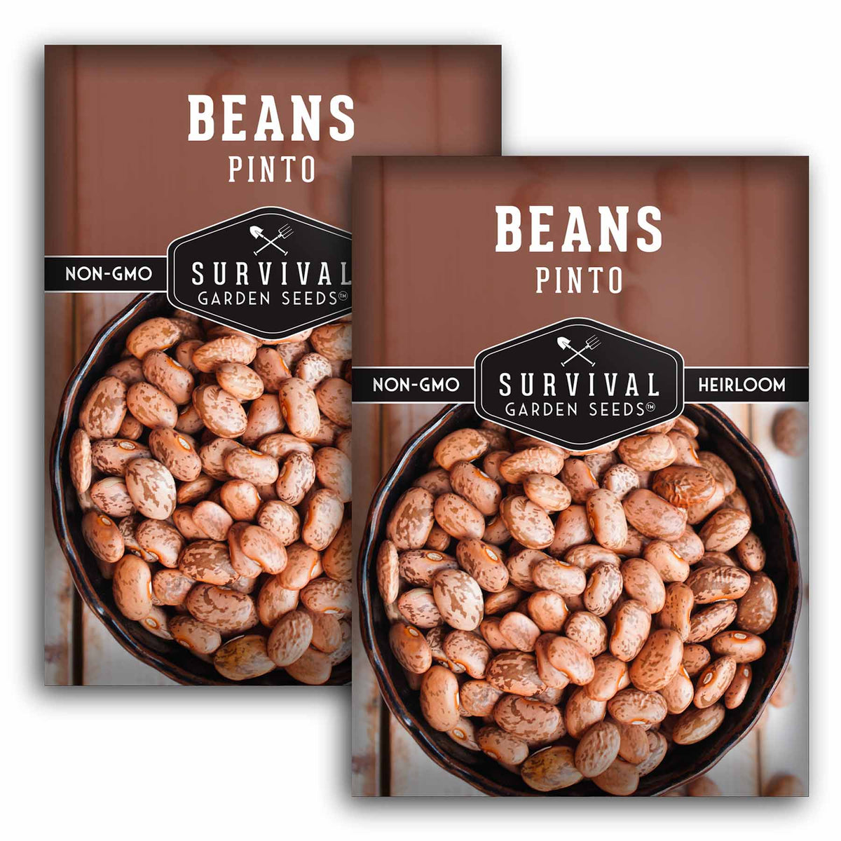 2 packets of Pinto Bean seeds