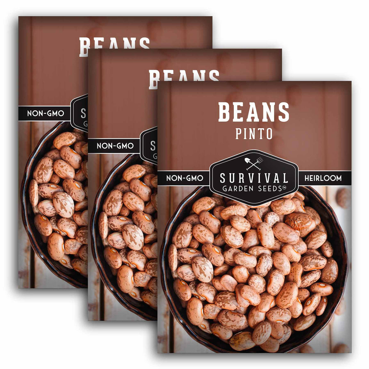 3 packets of Pinto Bean seeds