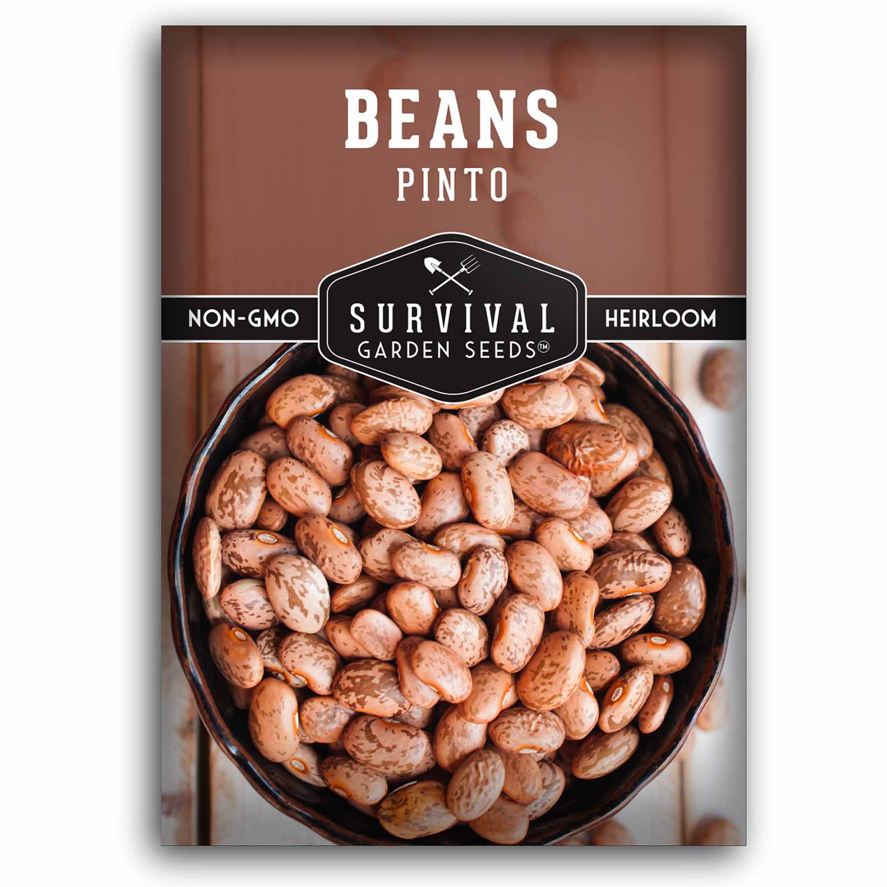 Pinto Bean Seeds - Versatile Bush Bean – SurvivalGardenSeeds
