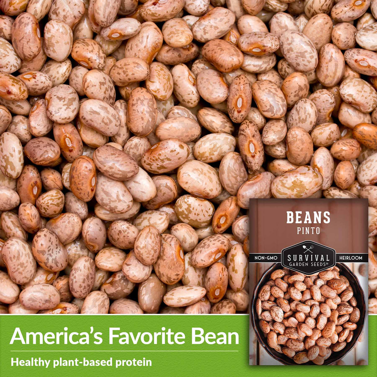America&#39;s Favorite Bean - Healthy plant-based protein