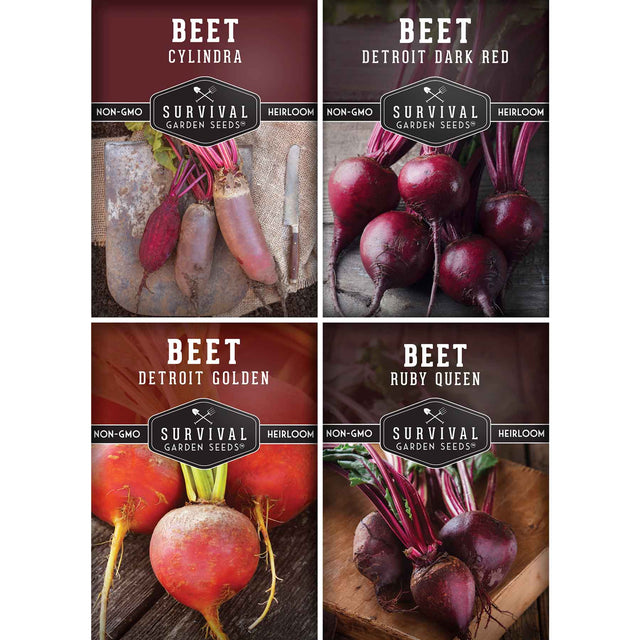 Beet Seed Collection