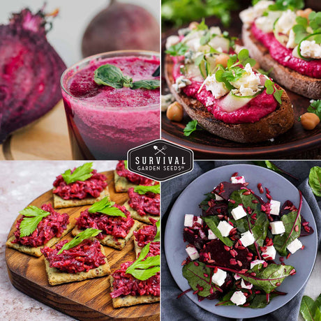 beet dishes