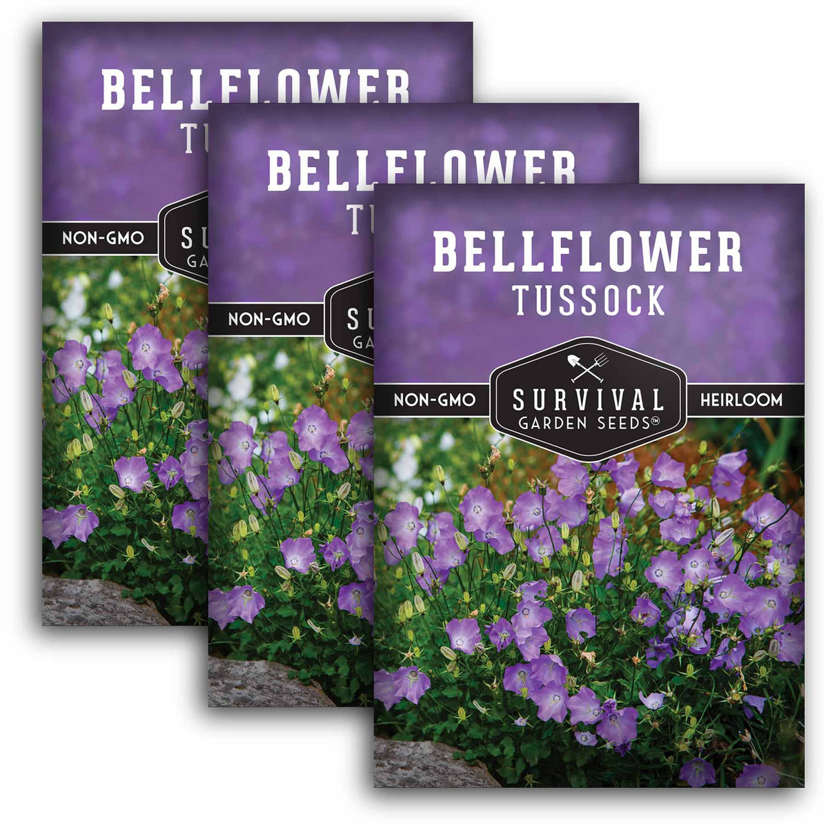 3 packets of Tussock Bellflower seeds