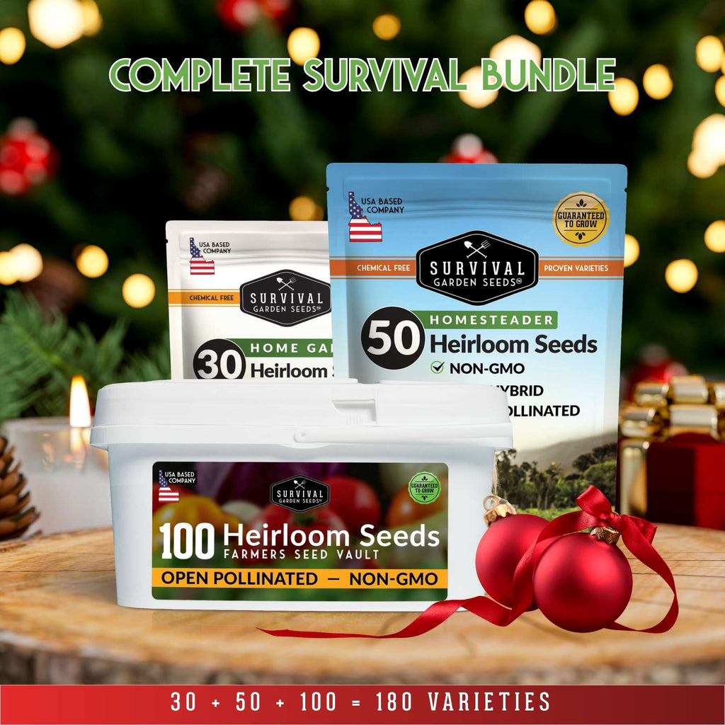 Survival Garden Seeds packaging with a festive background featuring Christmas lights and ornaments.