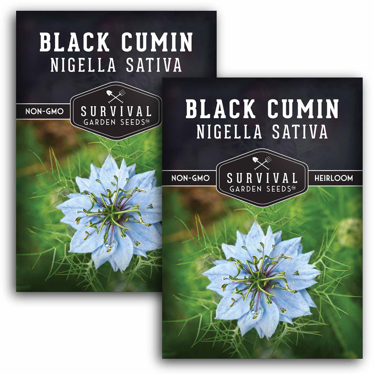 2 packets of Black Cumin seeds