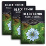 3 packets of Black Cumin seeds