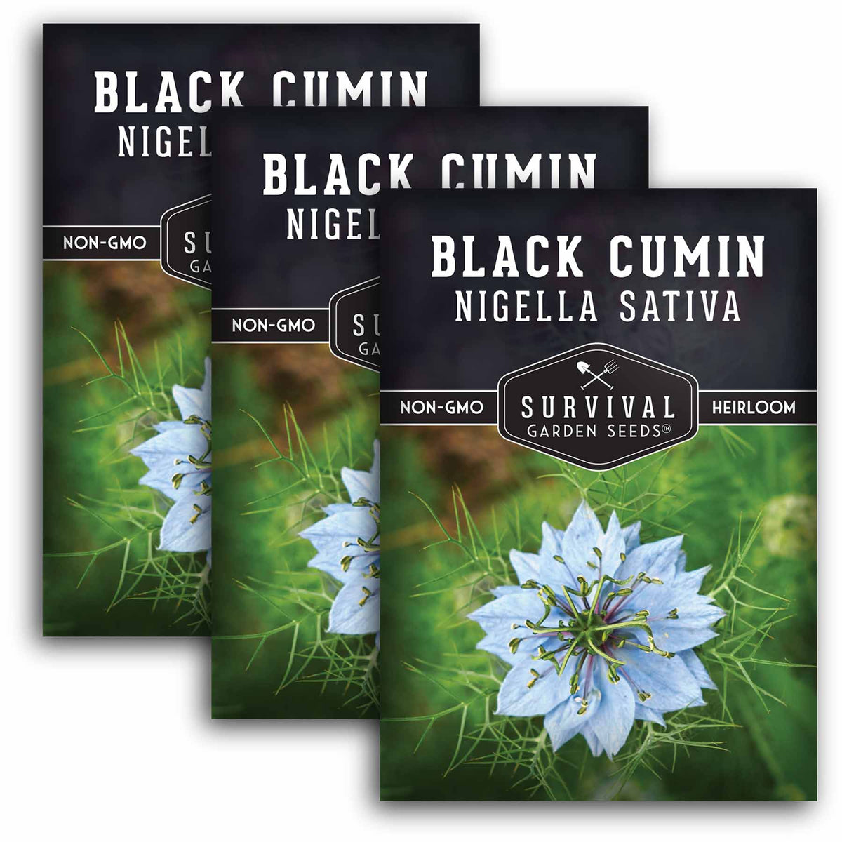 3 packets of Black Cumin seeds