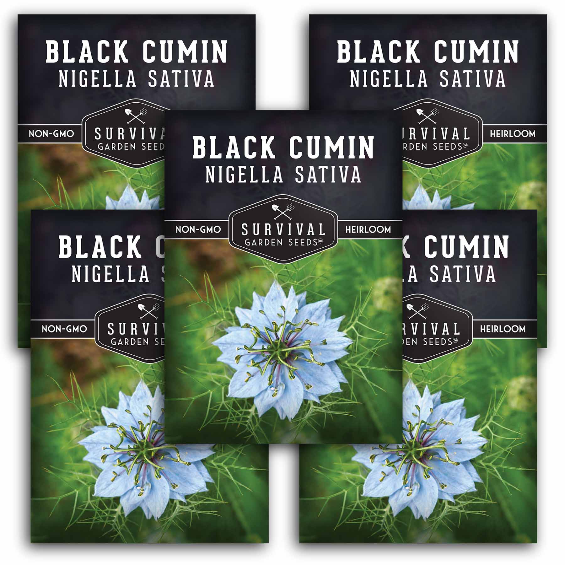 Black Cumin Seeds - Nigella Sativa - SurvivalGardenSeeds Black cumin seeds near me