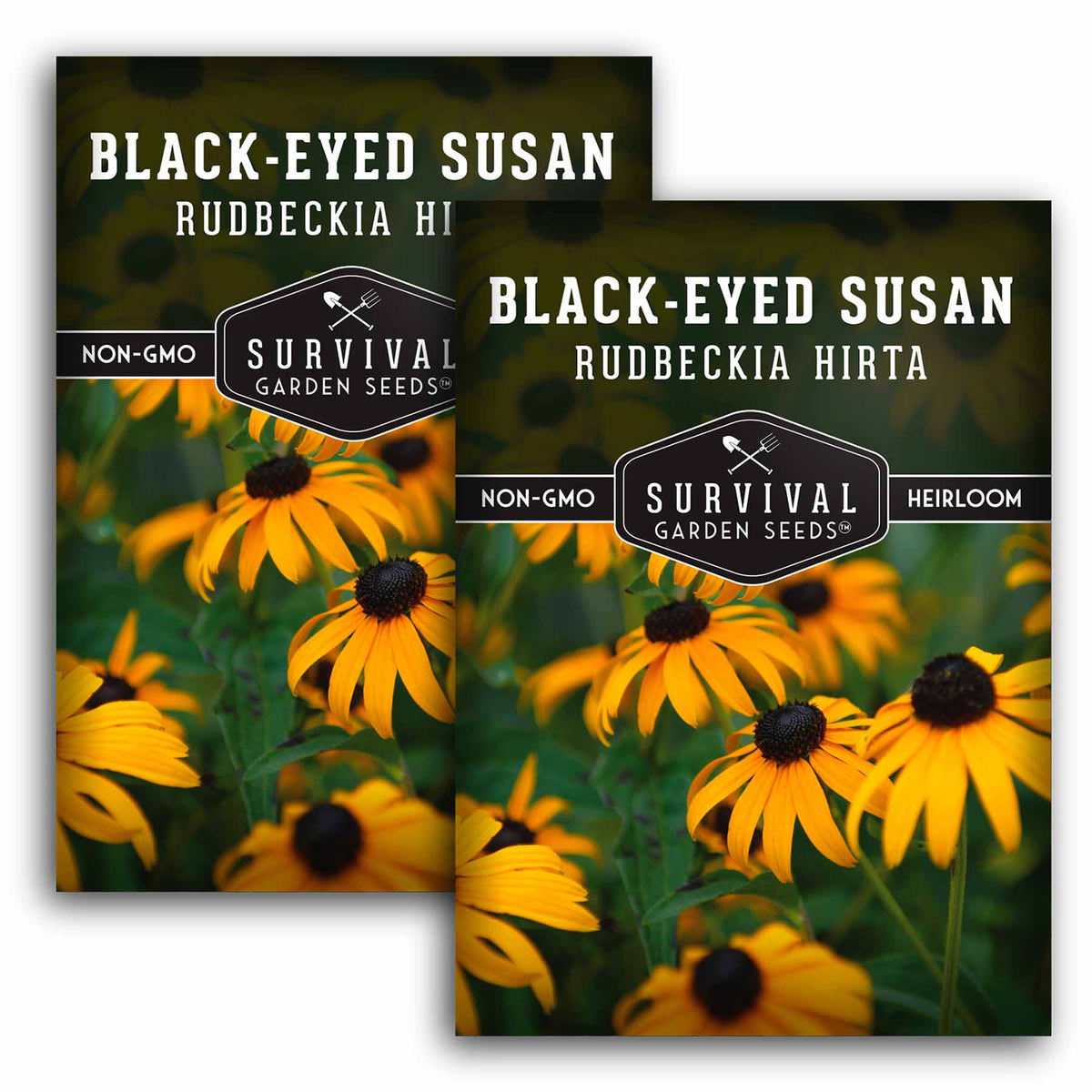 2 packets of Blackeyed Susan seeds