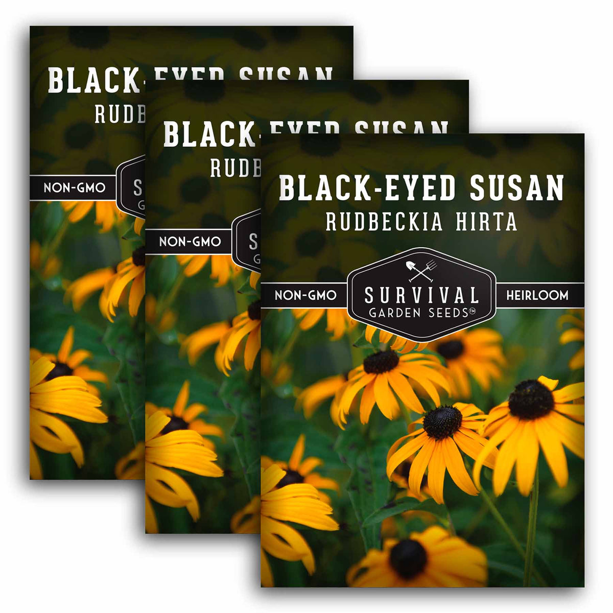 3 packets of Blackeyed Susan seeds