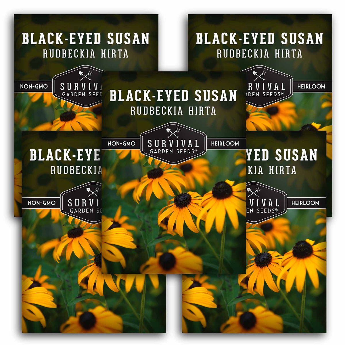 5 packets of Blackeyed Susan seeds