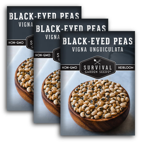 3 packets of Black-Eyed Pea seeds