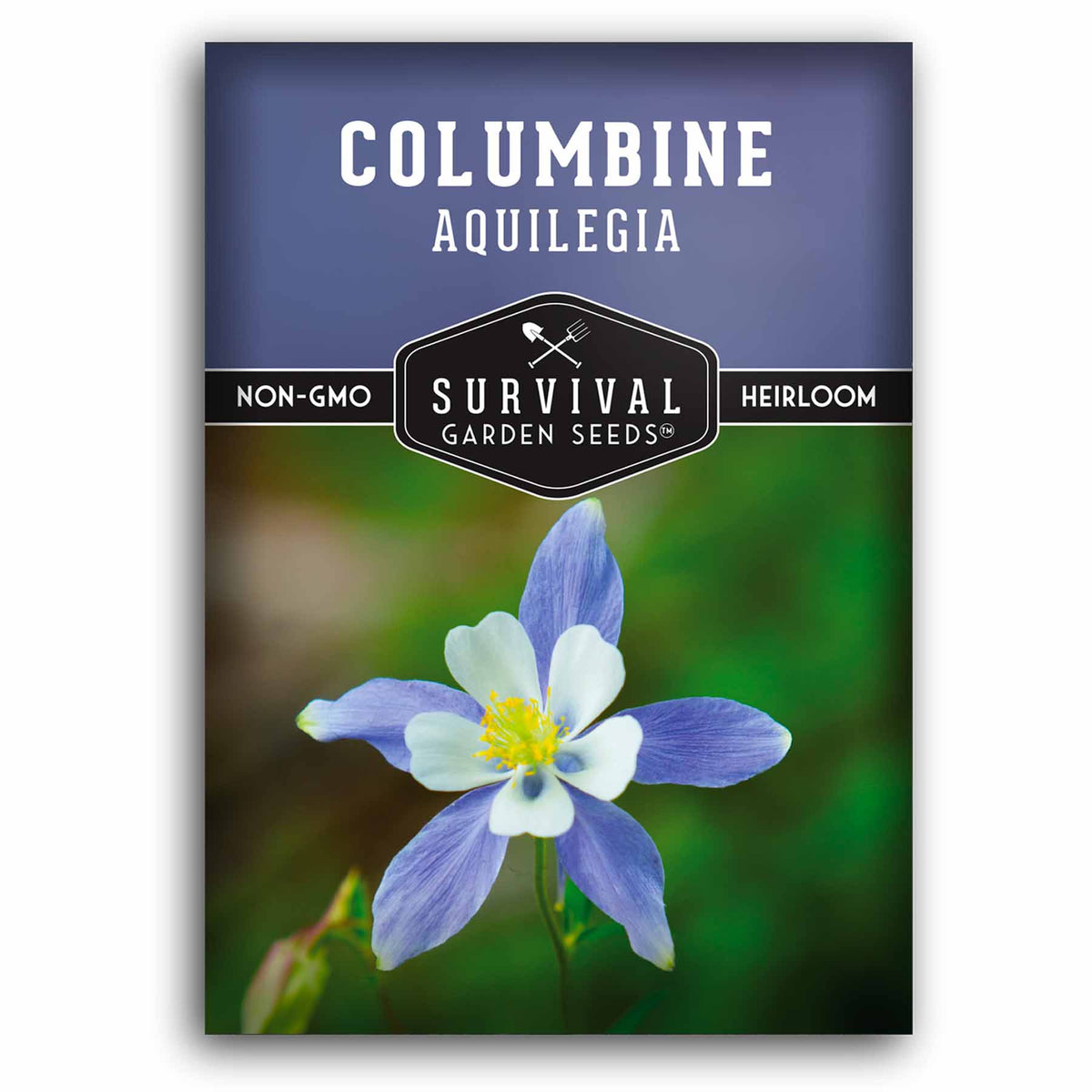 Blue Columbine Seeds