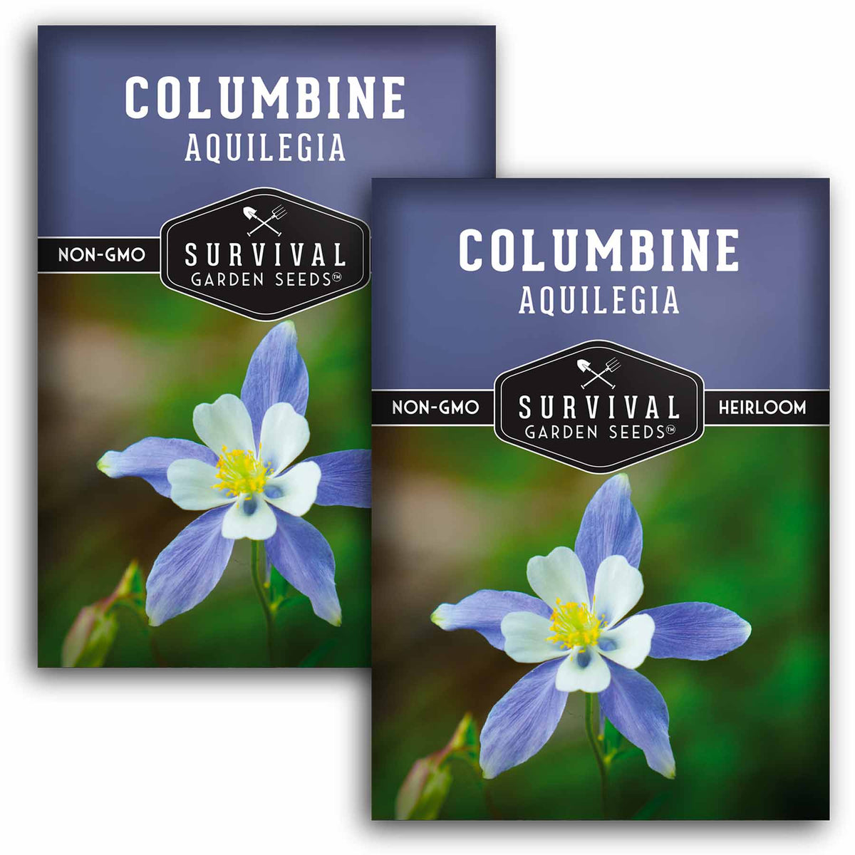 2 packets of Blue Columbine seeds