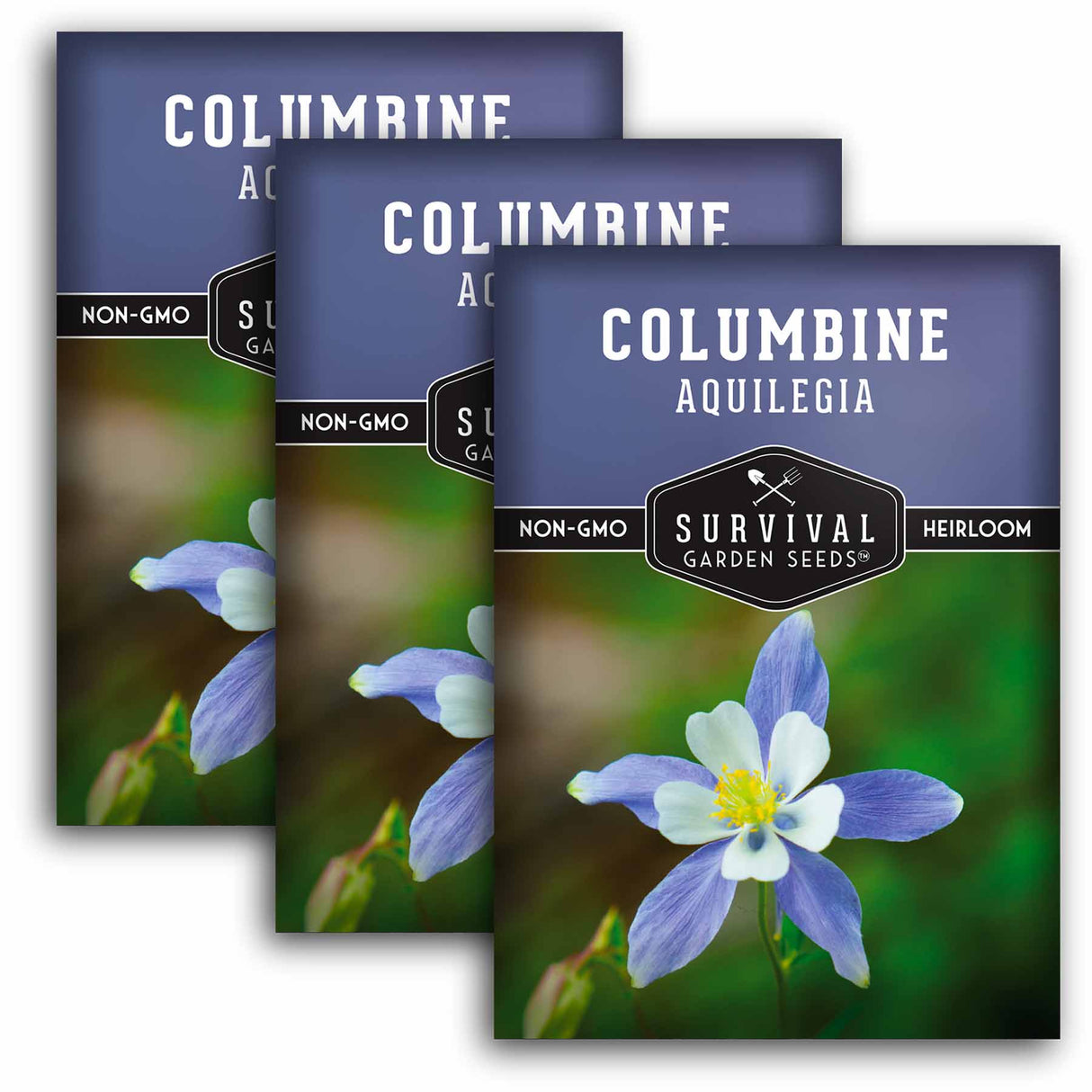 3 packets of Blue Columbine seeds