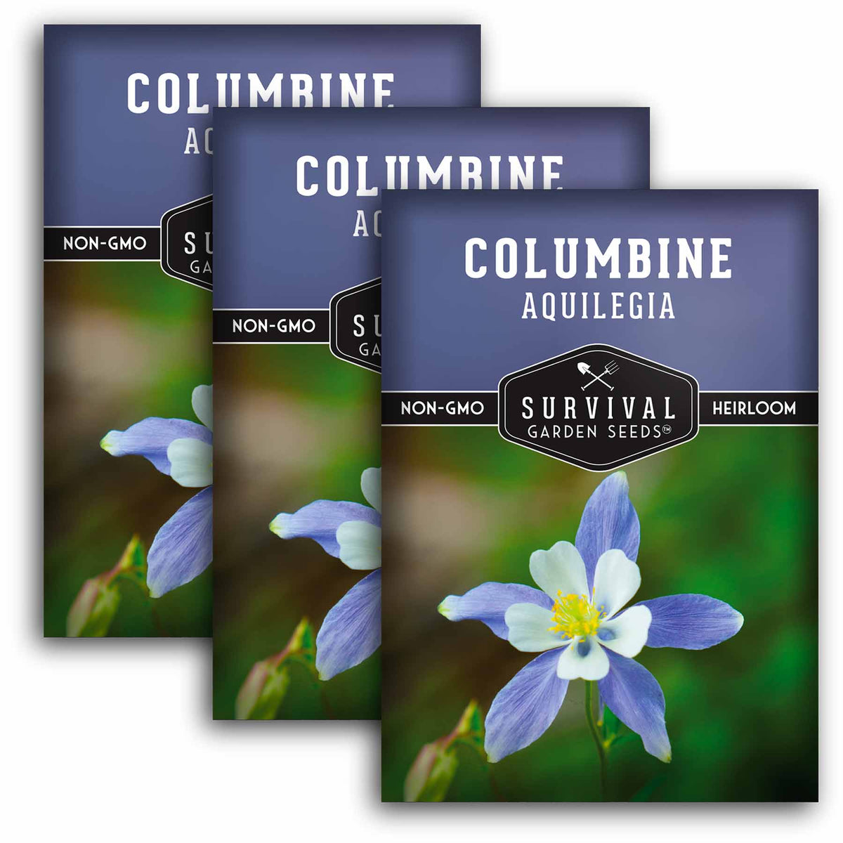 3 packets of Blue Columbine seeds