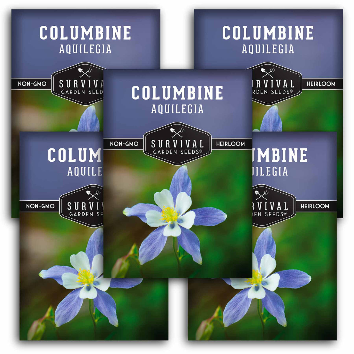 5 packets of Blue Columbine seeds