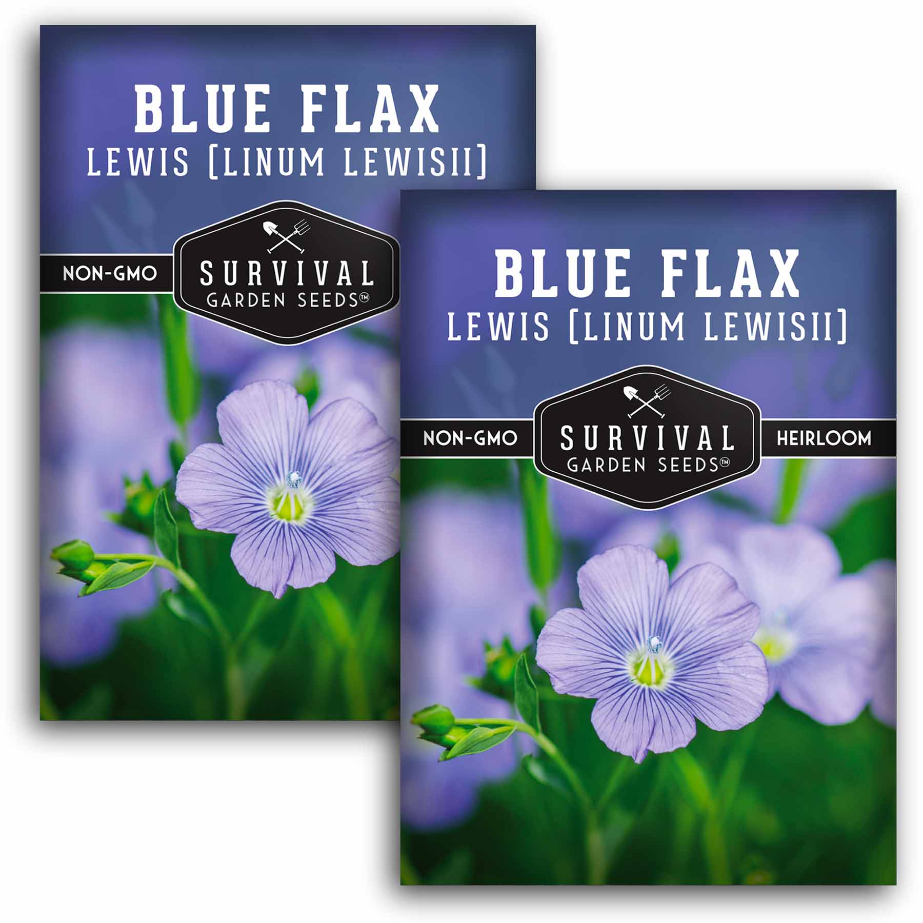 L.G.B. WILD FLOWERS ルグランブルーifsix ロイフラ Lewis Blue Flax – Native Wildflower Seeds – SurvivalGardenSeeds
