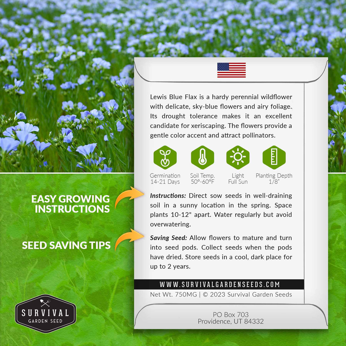Lewis Blue Flas seed planting instructions